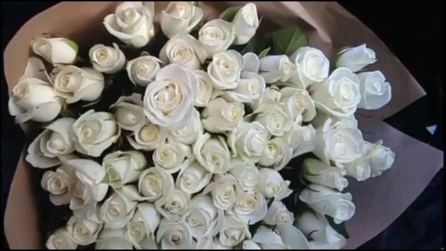 Принимаю заказы на озвучку! Чеченская озвучка-Дал декъал йойл хьо нана#чеченскиепесни смотреть онлайн