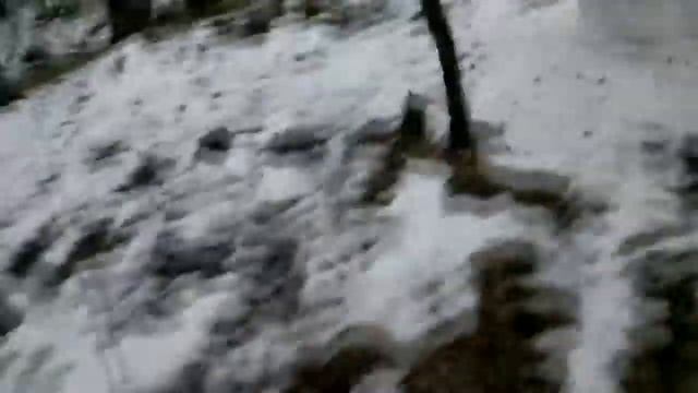 март в лесу \ хОд-1 смотреть онлайн