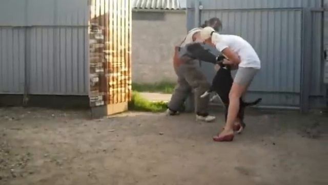 Охранное тестирование.Школа"АРЕС". смотреть онлайн