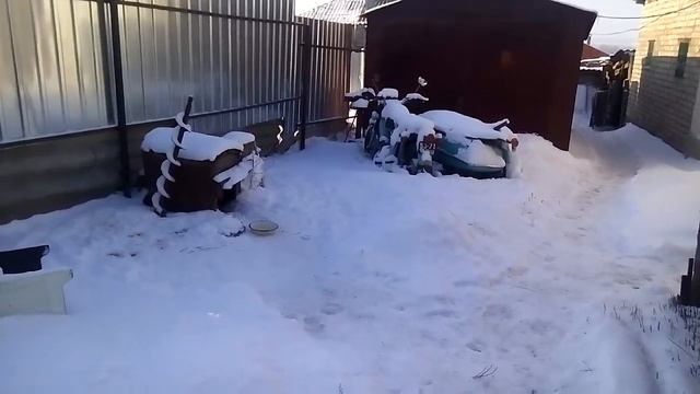 Морозный день, соседский дом, плохие новости. смотреть онлайн