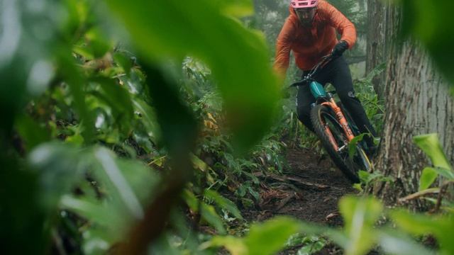 The new toy in the jungle - JAM 8. series #carbon смотреть онлайн