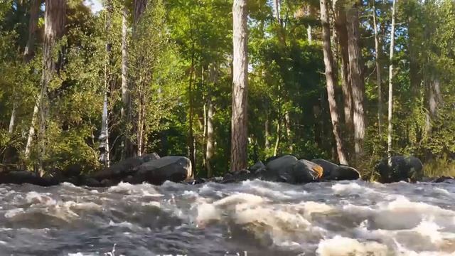 Музыка Для Души Без Слов, Медитация Музыка?музыка Для Засыпания, Музыка Для Успокоения Нервов И Сна смотреть онлайн