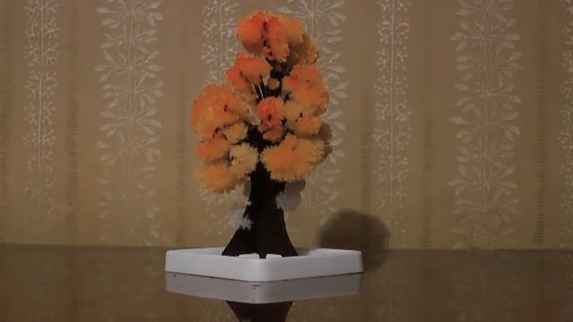 Кристальное дерево смотреть онлайн