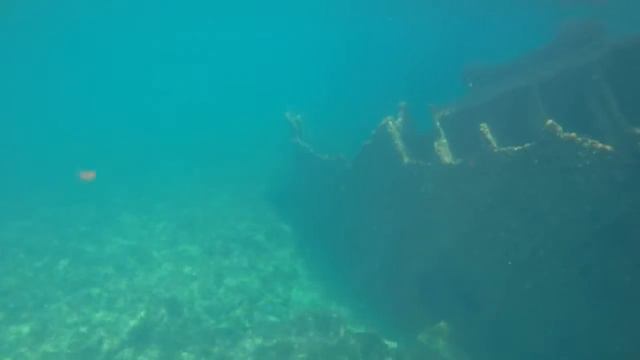 Randonnée aquatique sur l'épave Errimel HD смотреть онлайн