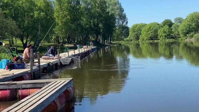 Зарыбление осетром 26 кг смотреть онлайн