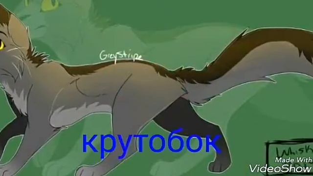 Мои самые любимые коты-воители смотреть онлайн