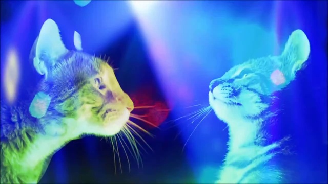 Turk-Tech - Live For Hands Up! (Video Edit) смотреть онлайн