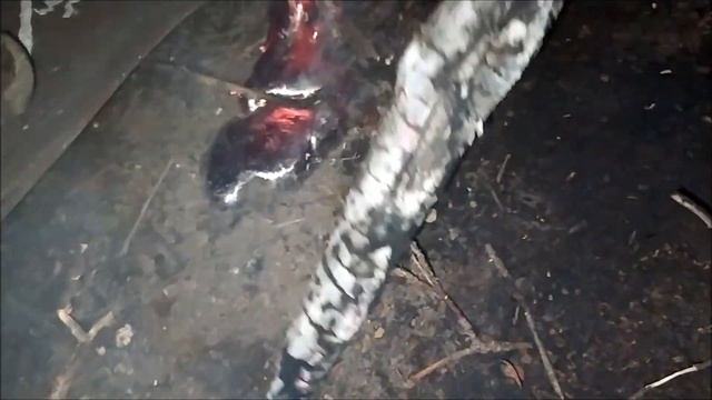 Самая БОЛЬШАЯ плавка АЛЮМИНИЯ в ГИГАНТСКОЙ ТРУБЕ плавим алюминий на покрышках ;) смотреть онлайн