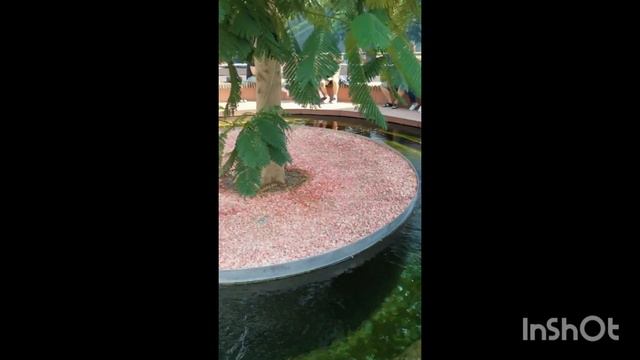 Парк Галицкого в Краснодаре - лучший в России!!! смотреть онлайн
