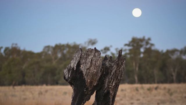 Uncharted Territory | Solo Piano смотреть онлайн