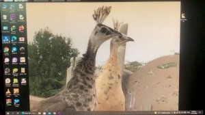 How to Activate iPhone iOS 15 Locked to Owner using 3u Tools | 100% Working Method!