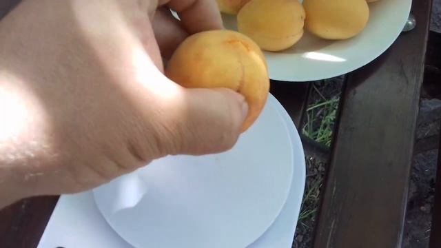 "Ананасный Шалах" 18 июля. смотреть онлайн