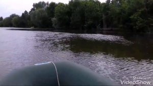 Электромотор Watersnake T-24 на пвх Нептун 260.