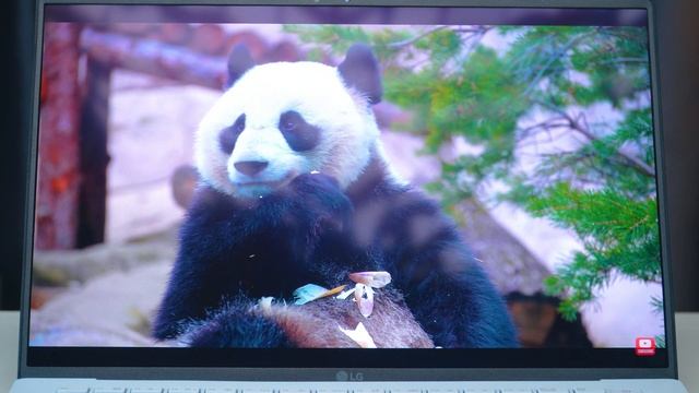 Review LG Gram Style 14 2023 - Laptop đã NHẸ NHẤT lại còn MỎNG NHẤT!!! смотреть онлайн