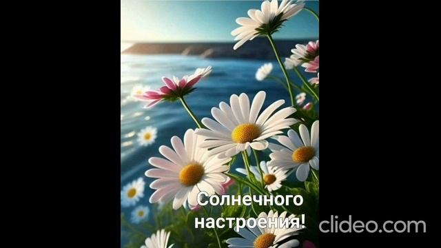раннее утро 27.06 смотреть онлайн