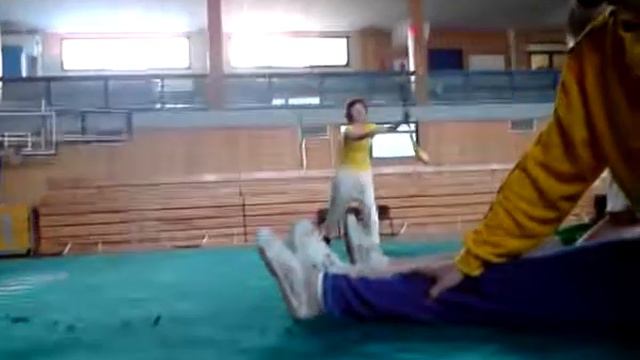 Henan Wushu by Zhang Xizhen смотреть онлайн