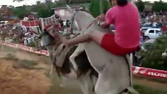 эшак смотреть онлайн