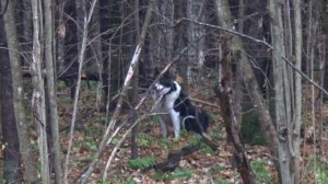 Состязания день1