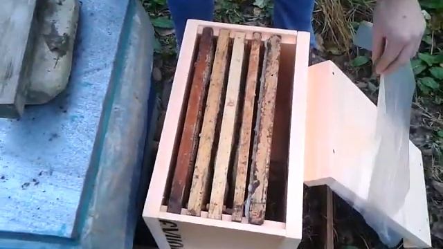 гращенко пасека 2 смотреть онлайн