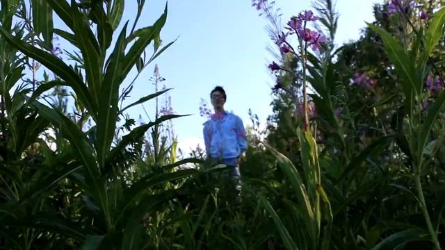 Поэтический проект "Тебе.Ему.Себе." 12 / Reading My Poetry: "To you.To him.To myself." series 12 смотреть онлайн