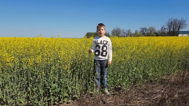 Стихотворение Алексея Плещеева - Травка зеленеет. Демишев Илья 7 лет. смотреть онлайн