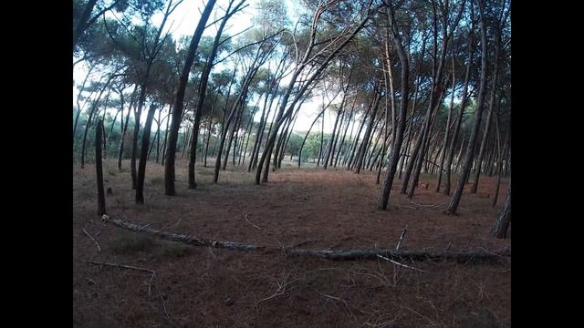 Ritrovamenti METAL DETECTOR GIOIELLO 2020 - ARGENTO, Italia Garrett AT Pro смотреть онлайн