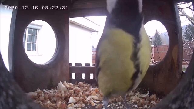 Рождественские гости. смотреть онлайн