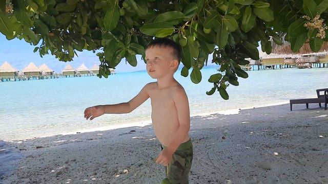 отдых на  Бора Бора