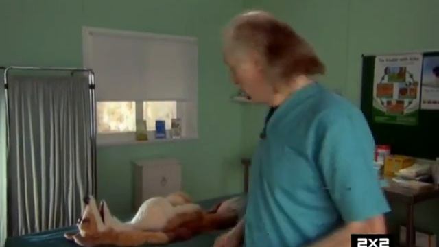 2x2 - Дворняги смотреть онлайн