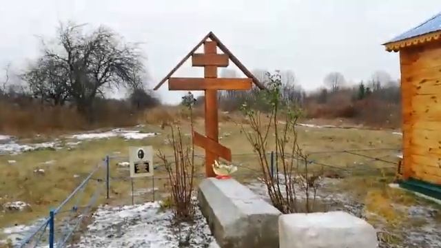 Брусовое. 21.11.2020 смотреть онлайн