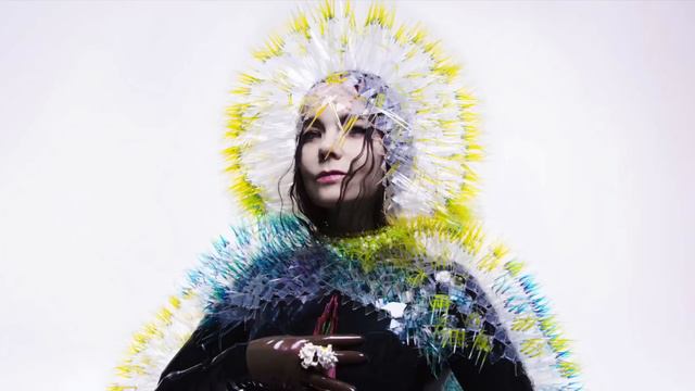 Bjork - History Of Touches (Ridu Remix)