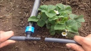 Капельный Полив Самотеком