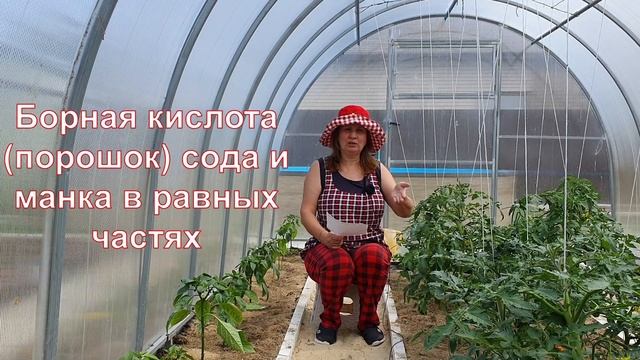 Супер средство от муравьев. У вас их больше не будет! смотреть онлайн