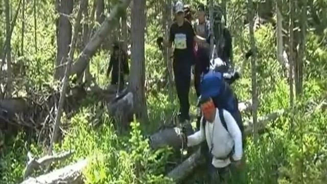 шк 22 Саяны Междуреченск смотреть онлайн