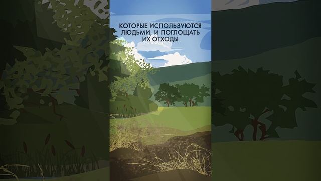 Что такое биоёмкость (и можно ли измерять её в попугаях)? #shorts смотреть онлайн