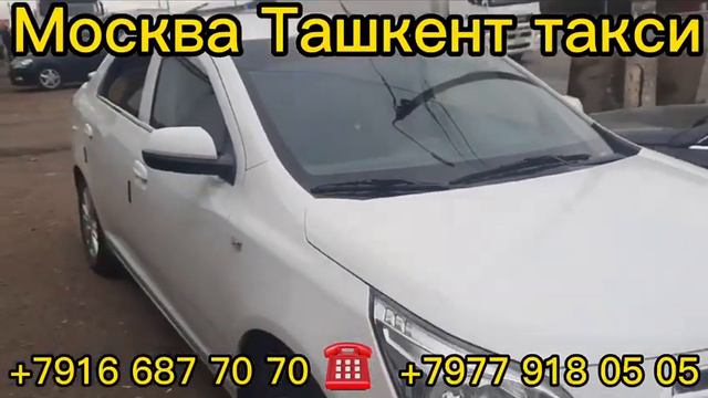 Санкт-Петербург Узбекистан такси кашкада Самарканд. суханда. Бухара смотреть онлайн