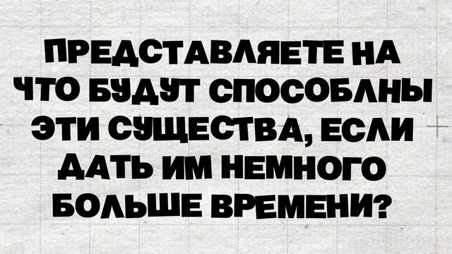 Что Будет, Если Спасти Осьминога После Спаривания? смотреть онлайн