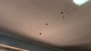 Неисправность в светильнике с люминесцентными лампами