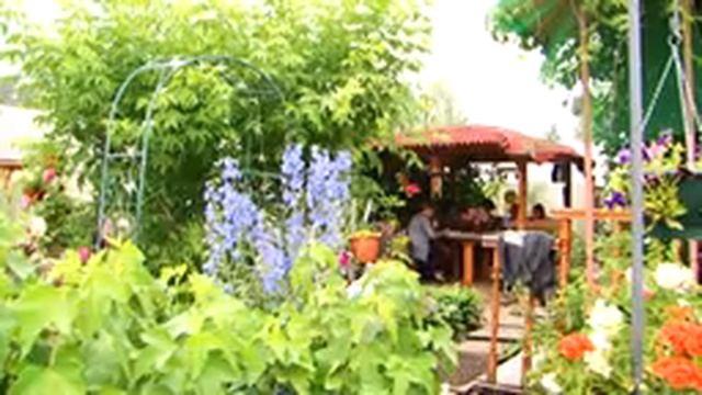 Сад из камней на шести сотках