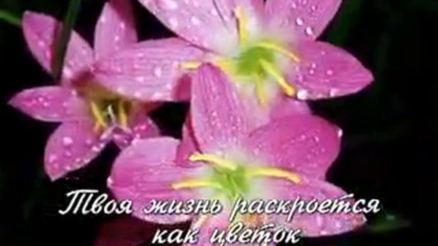 Грегори Лемаршаль 'Просто счастье' смотреть онлайн