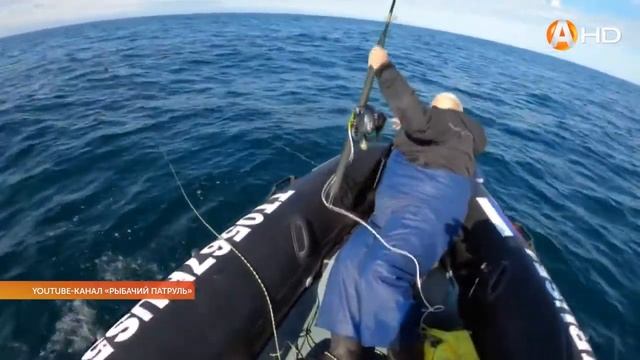 Поймал много рыбы – смело продавай излишки! смотреть онлайн