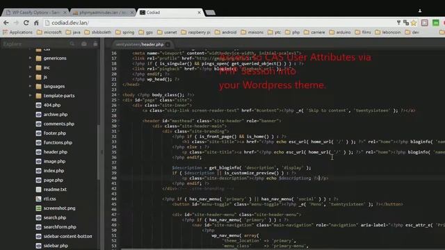 WP Cassify - Populate CAS User attributes into session смотреть онлайн