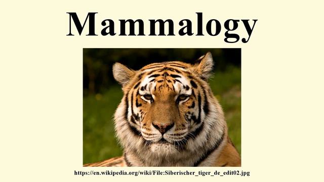 Mammalogy смотреть онлайн