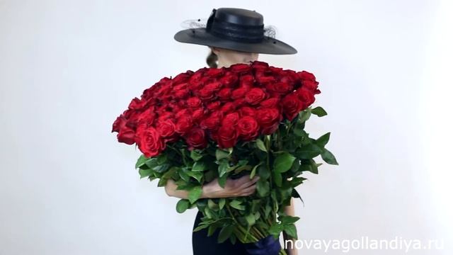 Траурный букет из 101 красной розы перевязанный черной лентой смотреть онлайн