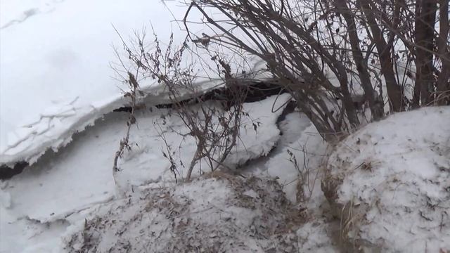Как замерзают в Сибири реки. смотреть онлайн