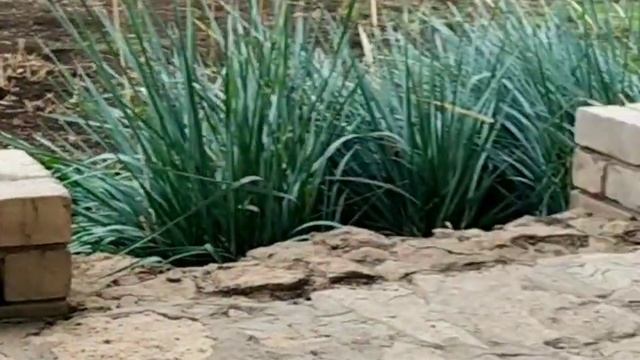 Осенний Венок Из веток 2 варианта. Украшаем венок своими руками смотреть онлайн