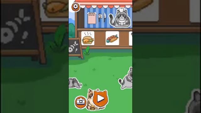 GRUMPY CAT'S WORST GAME EVER gameplay 1 minute смотреть онлайн