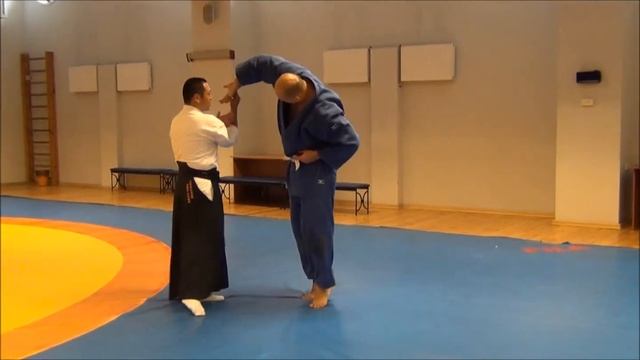 Семинар по Дайто рю Ямамото А в Мариуполе 2013 смотреть онлайн