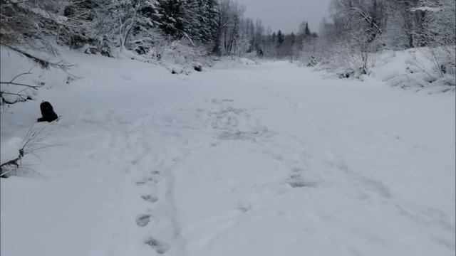 Рыбаки и Природа