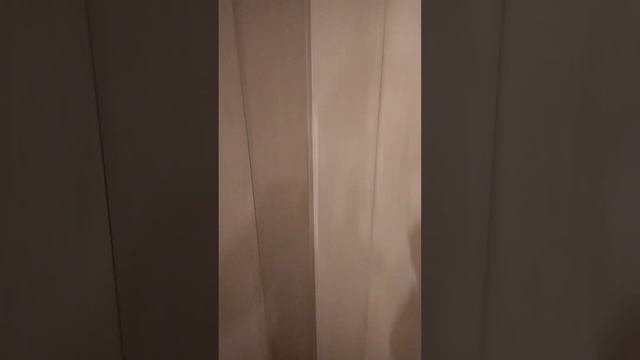 VID 20171102 200152 1  25